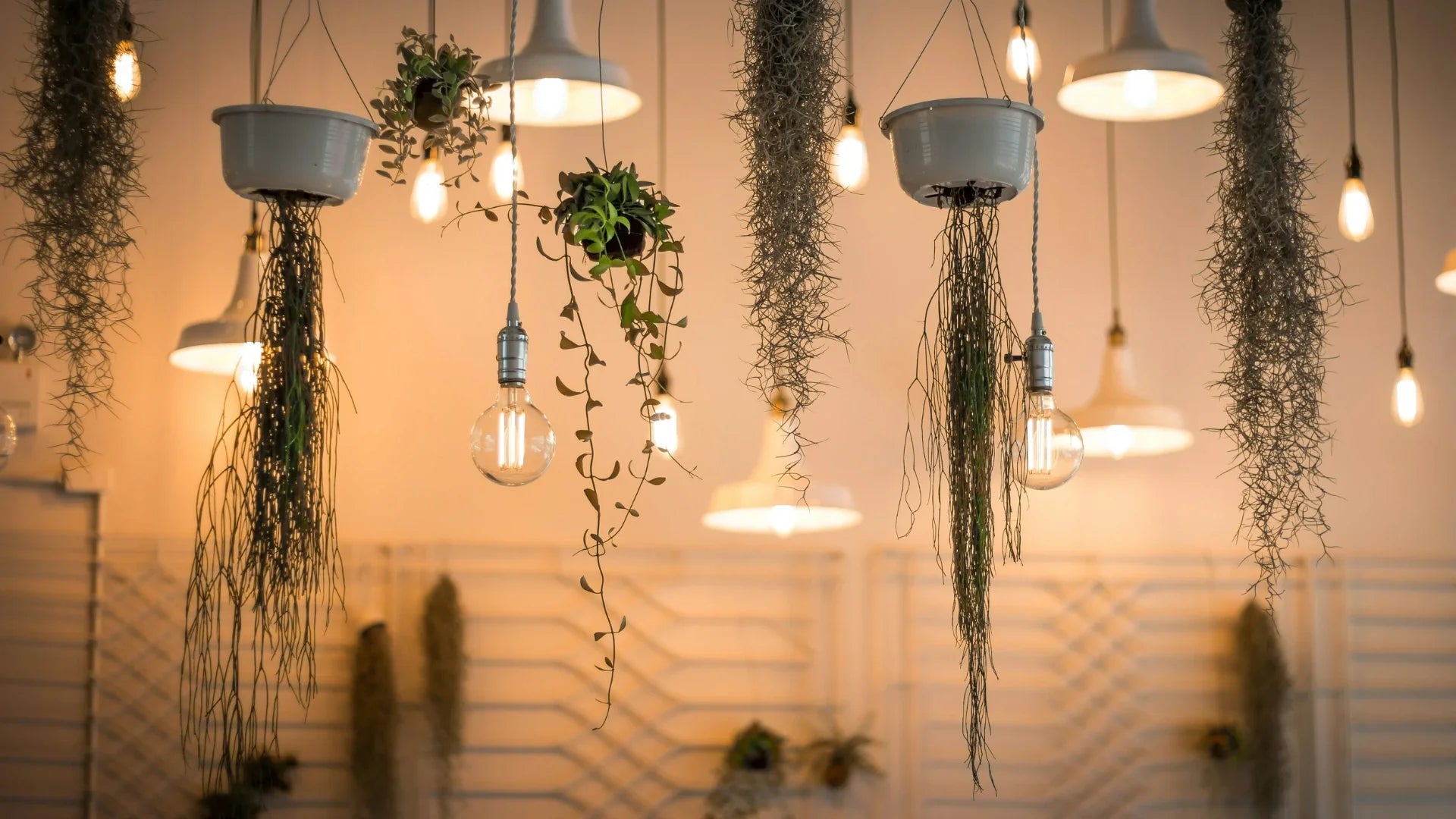 Tendances luminaires 2025 : les styles à adopter chez soi