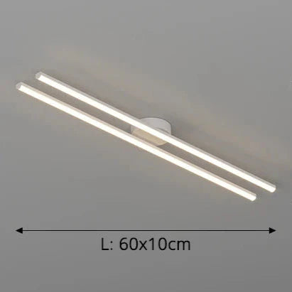 Luminaire plafonnier salon design et moderne 2 blanc 60cm / Standard Mon Luminaire™